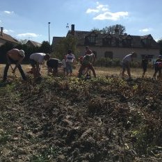 récolte à Magny