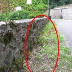 Le long de la route qui va à Pontaubert, juste avant le moulin du « Pont raté ».