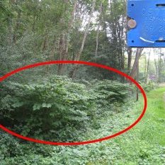 Avant le panneau des templier, en bordure