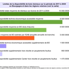 Synthèse graphique réalisée par l'association Ginkgo d'après le rapport FCBA de novembre 2011 est intitulé : « Disponibilité forestière en bois d'oeuvre résineux en Bourgogne et dans les régions voisines »