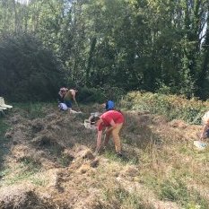 récolte à Domecy sur Cure